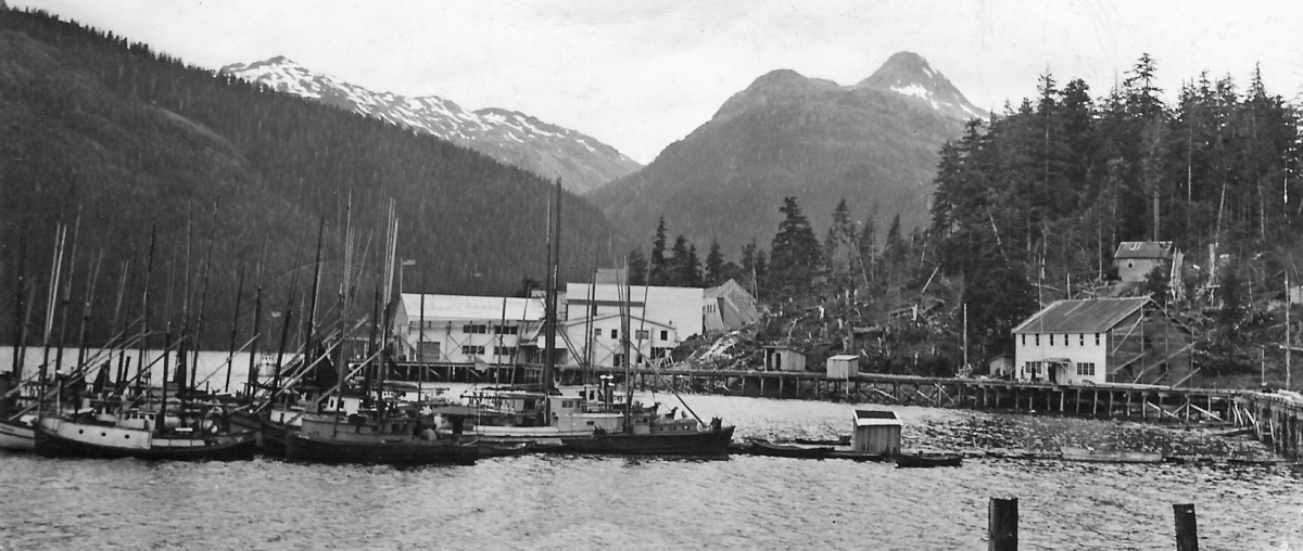 Early Pelican Alaska harbor with fishing boats and cannery buildings